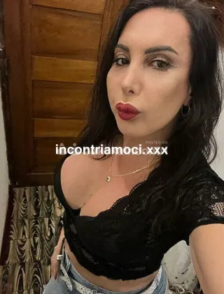 26 - Pamela Trans Perugia - 3317537165