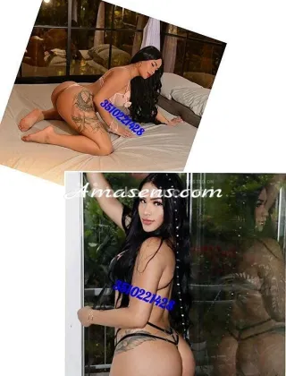 6 - Moana Trans Latina - 3510221428