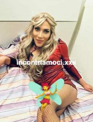 24 - Kimberly Trans Trapani - 3501737774