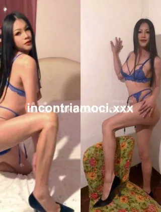 36 - Nikki Trans Imperia - 3936395156