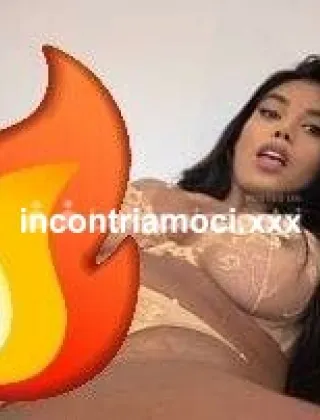 9 - Caramelo Trans Bologna - 3921632858