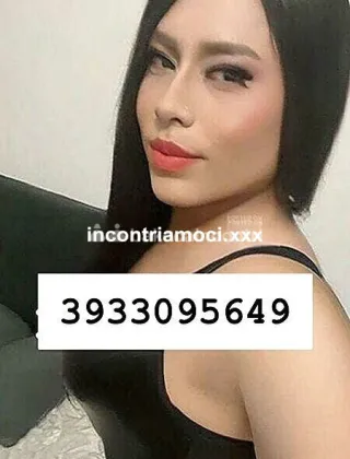 2 - Bruna Trans Trento - 3933095649