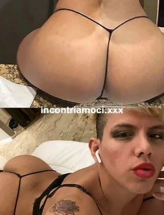 14 - Romana Trans Milano - 3348723717