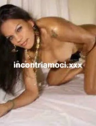 6 - Vanessa Trans Latina - 3315062787