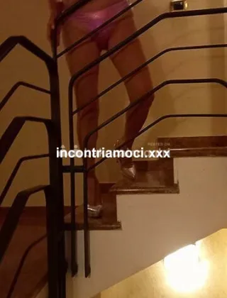 3713657316 - Malena 45 Escort Padova