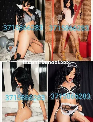 12 - Barbara Trans Prato - 3510135208