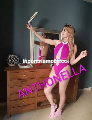 13 - Top Trans Anthonella Trans Campobasso - 3894550953