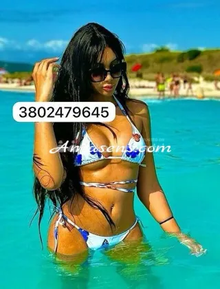 7 - Patty Trans Livorno - 3802479645