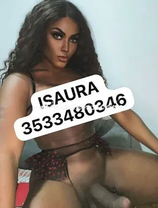 12 - Isaura Trans Latina - 3533480346