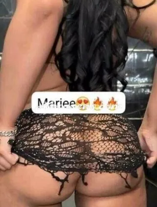17 - Mariee Escort Milano - 3311911408