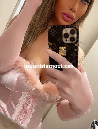 19 - Dafne Trans Lucca - 3801422205
