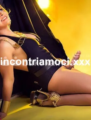 3922539356 - Beatrice 29 Trans Torino