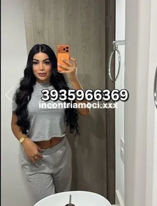 9 - Estrella Trans Latina - 3935966369