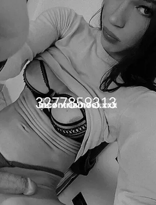 3 - Bona Trans Trans Cuneo - 3277859313
