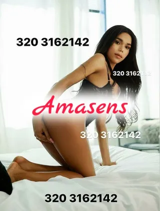 30 - Abbey Trans Treviso - 3203162142