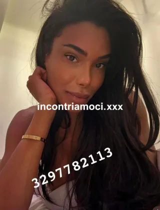 17 - Alana Trans Siracusa - 3297782113