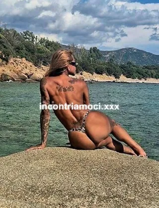 3 - La Toledo Trans Bologna - 3338568852