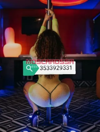 31 - Messicana Escort Cuneo - 3533929331