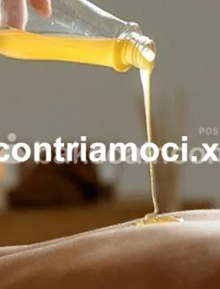 15 - Honey Escort Bolzano - 3517447500