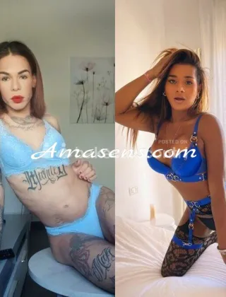 15 - Dayse Trans Torino - 3533266520