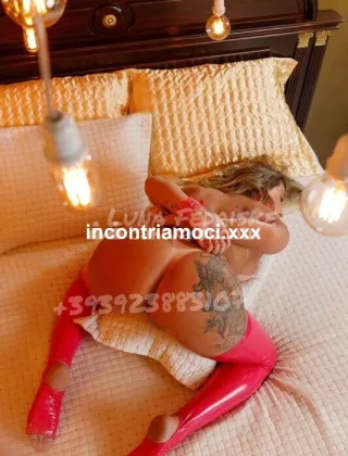 16 - Luna Trans Varese - 3886251885
