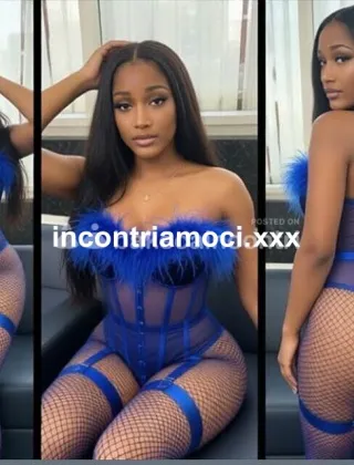 7 - Reina Trans Grosseto - 3511429727