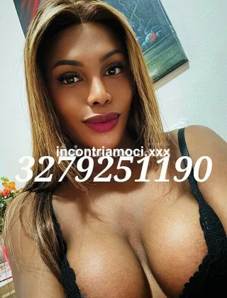 10 - Ivy Muller Trans Lucca - 3279251190