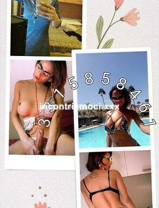 25 - Leslie Trans Piacenza - 3315858461