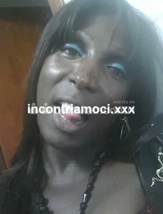 13 - Sonia Trans Varese - 3494525094