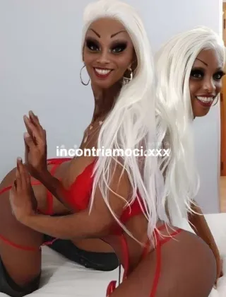 34 - Virna Trans Milano - 3494393969