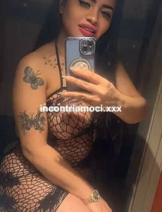 3 - Tatiana Trans Cremona - 3508185999