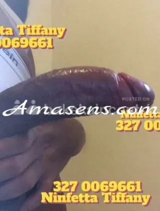 17 - Massaggi Pisa - 3270069661