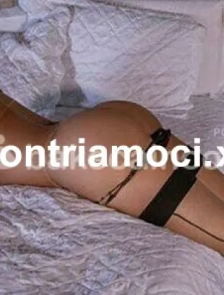 19 - Mirichan Trans Lodi - 3509286154