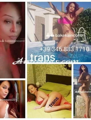 8 - Diana Trans Napoli - 3468831710