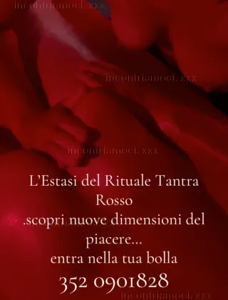 21 - Wolf& Lady Moon Coppie Modena - 3520901828