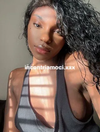 20 - Vanessa Trans La spezia - 3534963113
