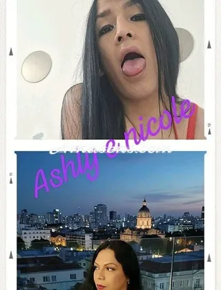 16 - Ashly Trans Reggio Calabria - 3510796139