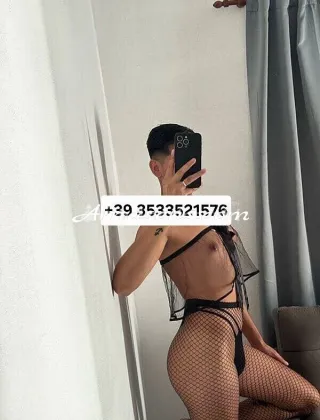 10 - Kaori Trans Pavia - 3533521576