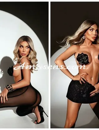 5 - Ingrid Trans Torino - 3512787001