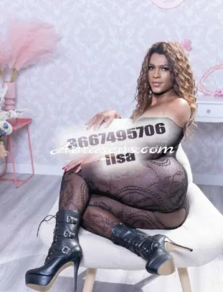 15 - Diana Trans Roma - 3667495706