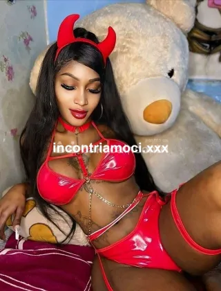 15 - Orsola Trans Bologna - 3511075153