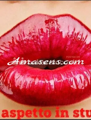 7 - Elena Escort Brescia - 3338080982