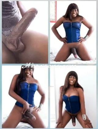 1 - Camilla Trans Bologna - 3313184962