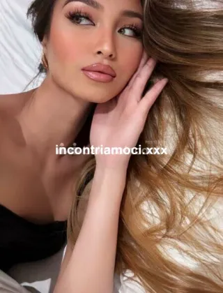 11 - Megan Trans Caserta - 3935020179