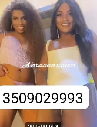 4 - Brenda Trans Perugia - 3509029993