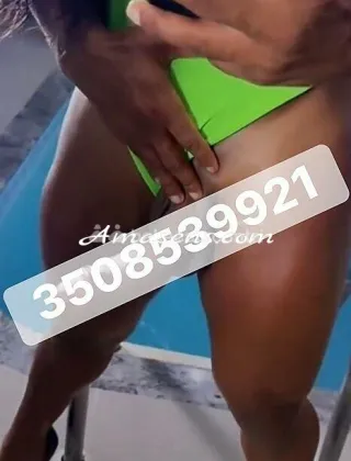 2 - Katalina Trans Latina - 3508539921
