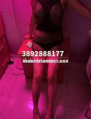 3892888177 - V I E N I A R I E M P I R E L A M I A P A S S E R