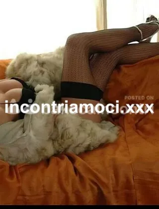 19 - Larissa Trans Lucca - 3314640213