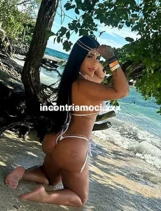 13 - Trans Catanzaro - 3514831709