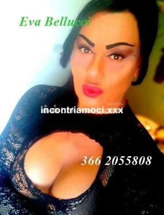 27 - Eva Trans Catanzaro - 3662055808